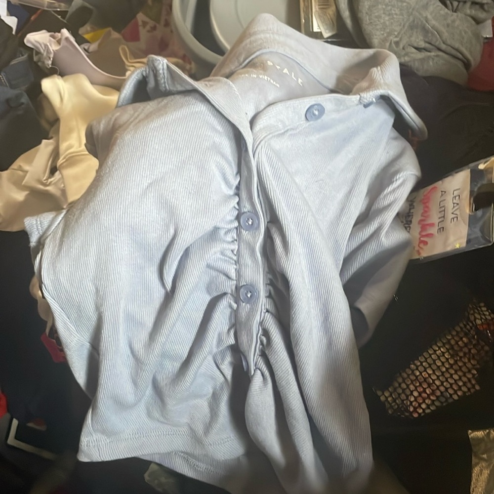 AEROPASTLR crop top